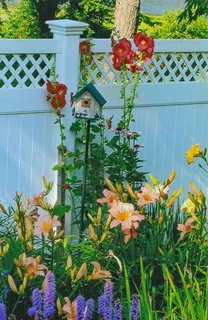 $2,950,000 | 41 Court Street, Chatham, MA 02650