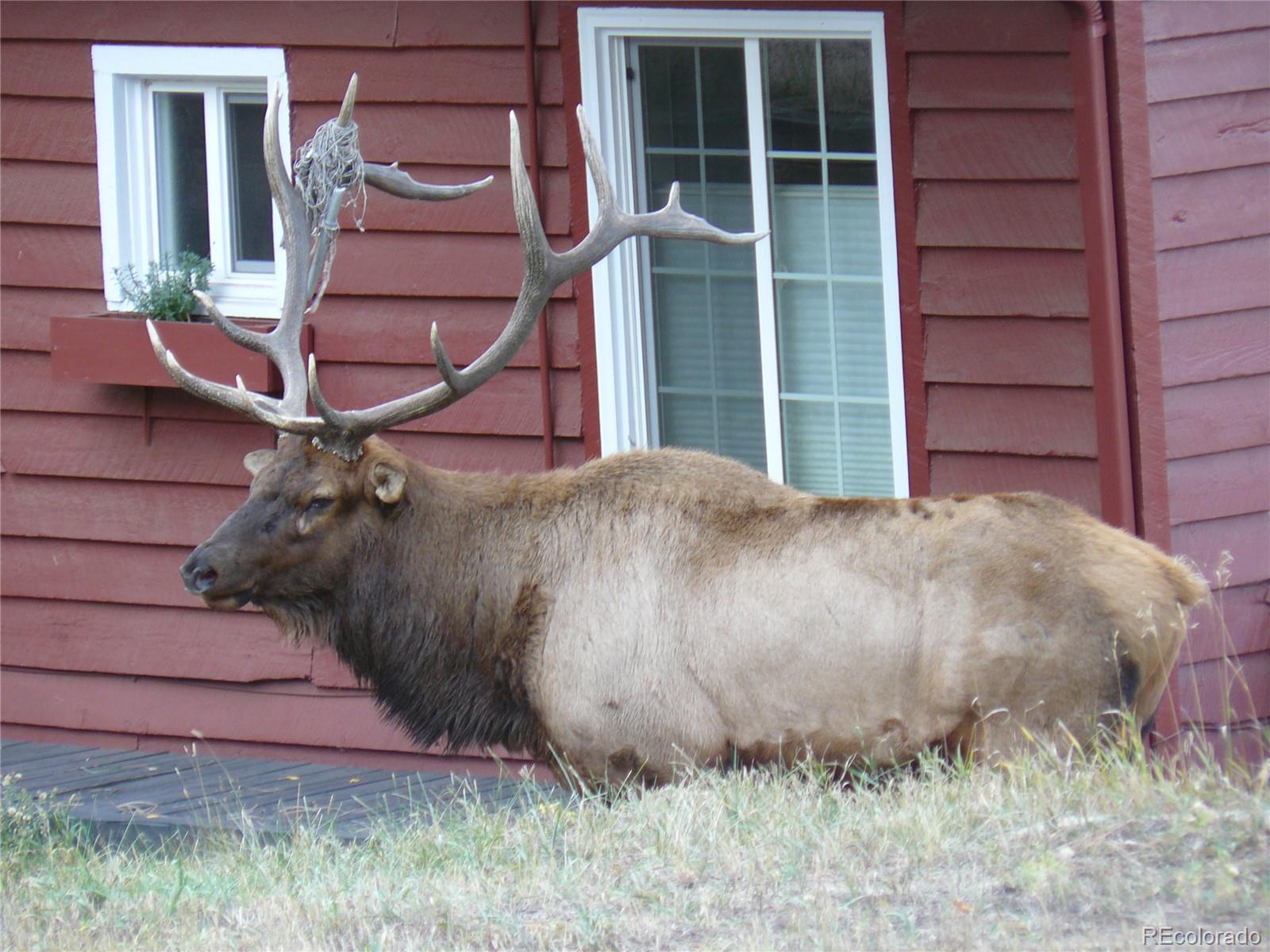 5201 South Olive Road Evergreen, CO 80439 - Photo 23 of 38 Gallery Image 23