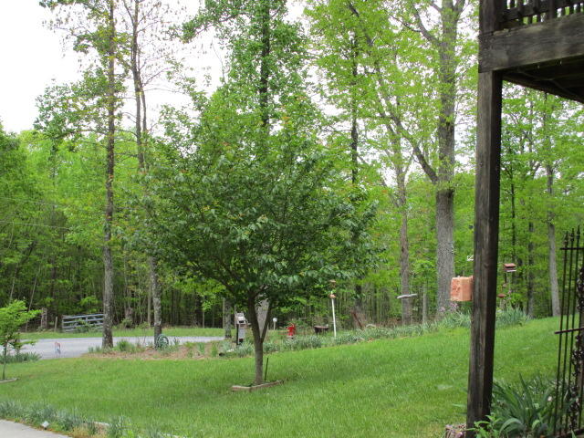 6043 Sandy Ford Road Blue Ridge, VA 24064 - Photo 40 of 44 IMG_0631