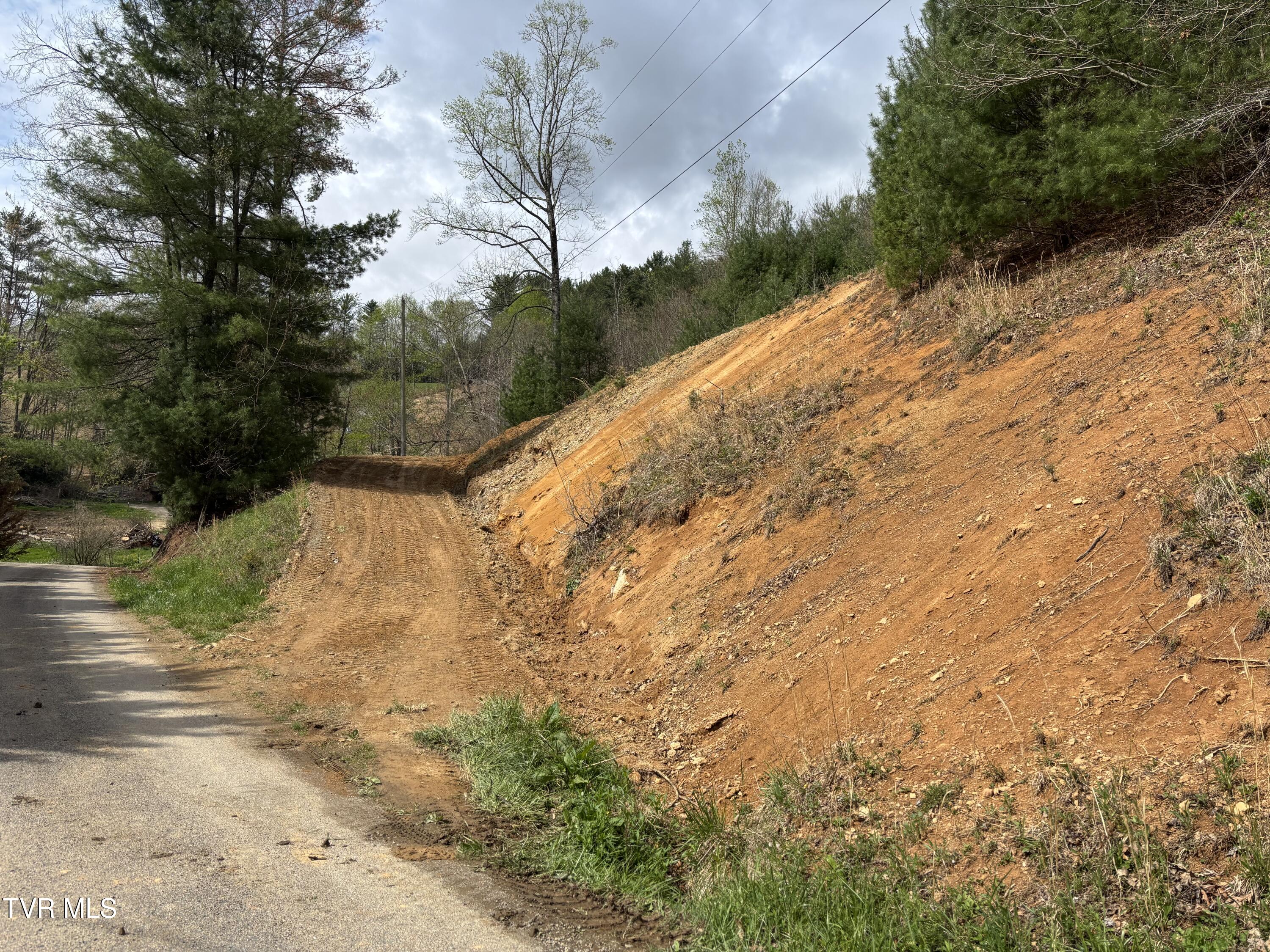 0 Joe Wallace Road, Unit 4 Trade, TN 37691 - Photo 1 of 6 IMG_4618