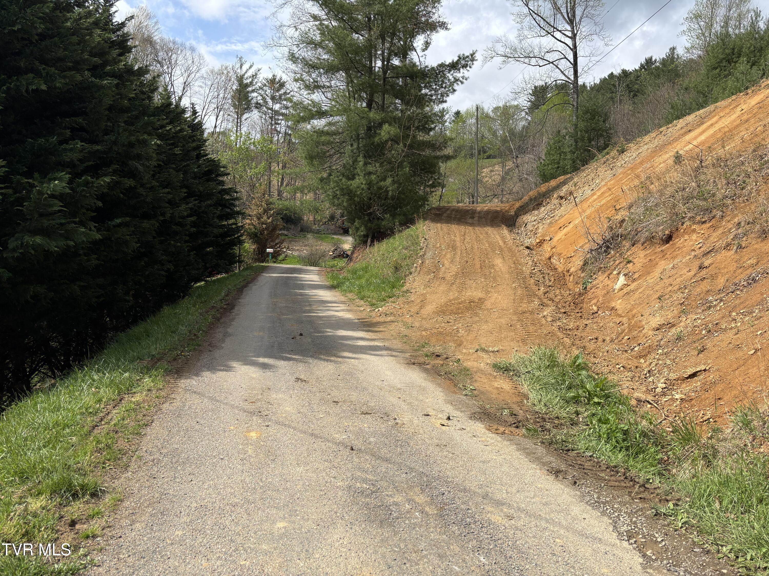 0 Joe Wallace Road, Unit 4 Trade, TN 37691 - Photo 2 of 6 IMG_4619