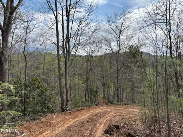 $145,000 | 0 Joe Wallace Road, Unit 4, Trade, TN 37691