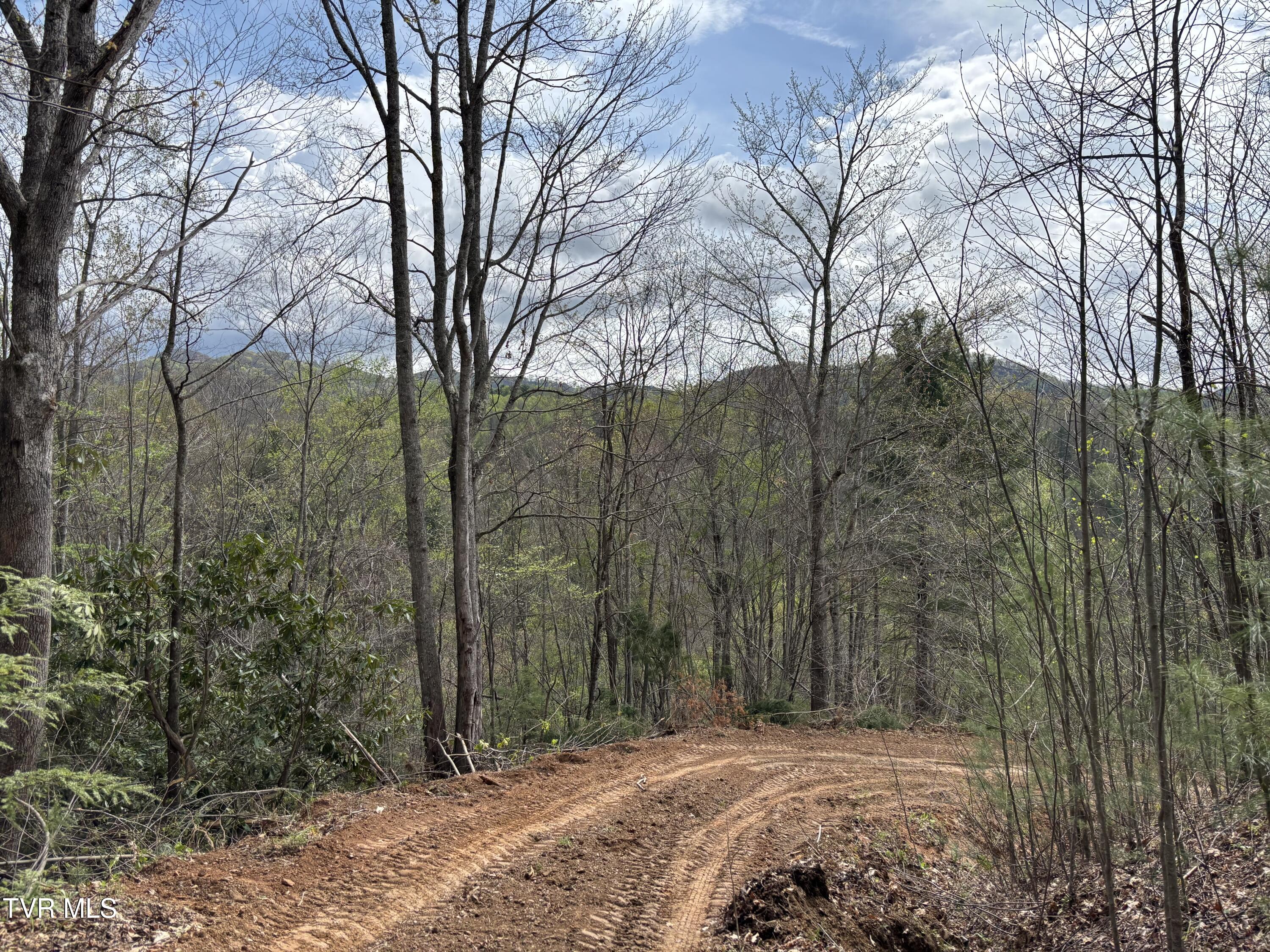 0 Joe Wallace Road, Unit 4 Trade, TN 37691 - Photo 3 of 6 IMG_4620