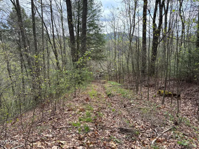 $145,000 | 0 Joe Wallace Road, Unit 4, Trade, TN 37691