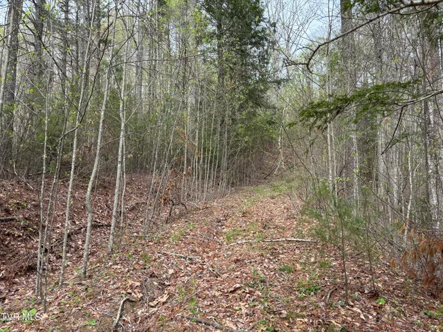 $145,000 | 0 Joe Wallace Road, Unit 4, Trade, TN 37691