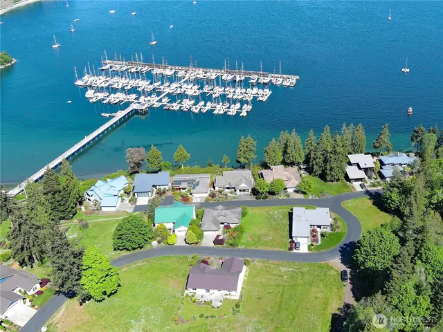 a bunch of flowers in a garden