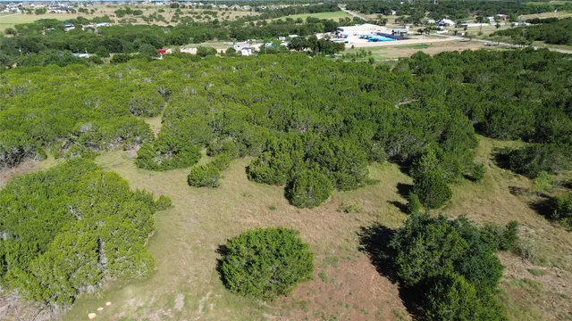 an aerial view of a forest with houses