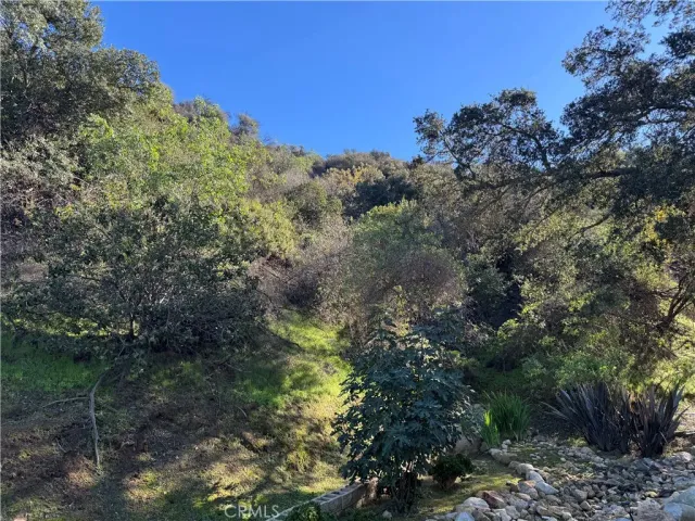 a view of a backyard with plants and lake