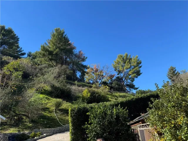 a view of a backyard