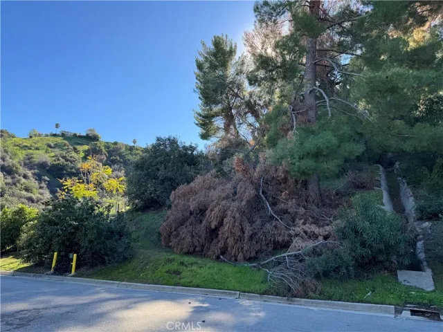 a view of a street with houses