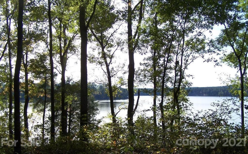 157 Vista Lane Rockingham, NC 28379 - Photo 1 of 12 a view of trees and covered with tall trees