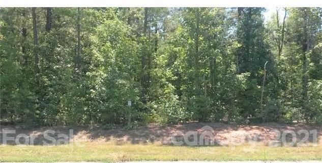 157 Vista Lane Rockingham, NC 28379 - Photo 3 of 12 a view of a lake view