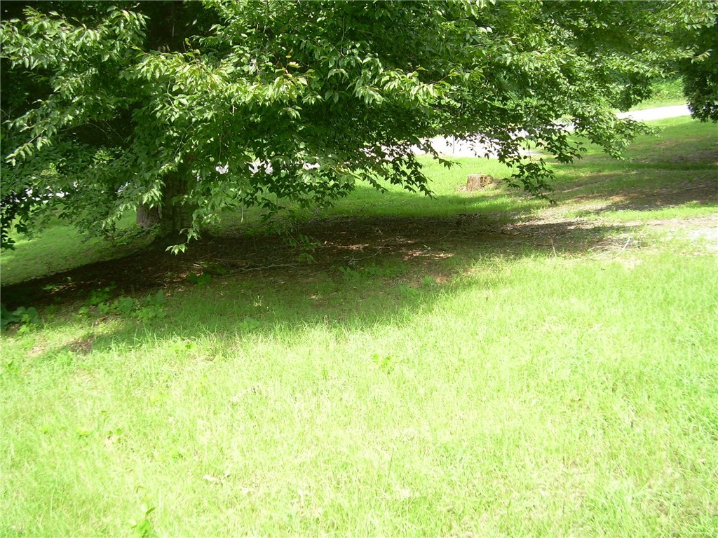 441 Hamby Road Starr, SC 29684 - Photo 5 of 12