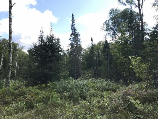 6918 Wildcat Road Presque Isle, WI 54557 - Photo 8 of 25 Gallery Image 8