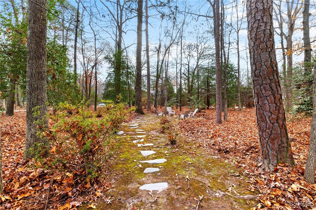 12510 Robious Road Midlothian, VA 23113 - Photo 4 of 38