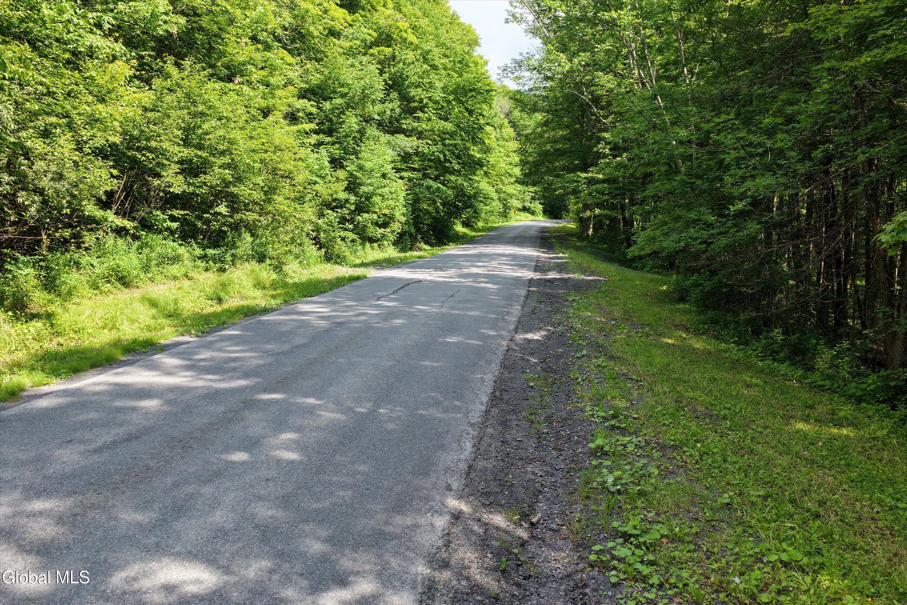 L27.5 L27.5 Gorton Lake Road Waterville, NY 13480 - Photo 6 of 15 06-Gorton Lake Rd-08