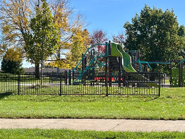 a view of a park with a large trees
