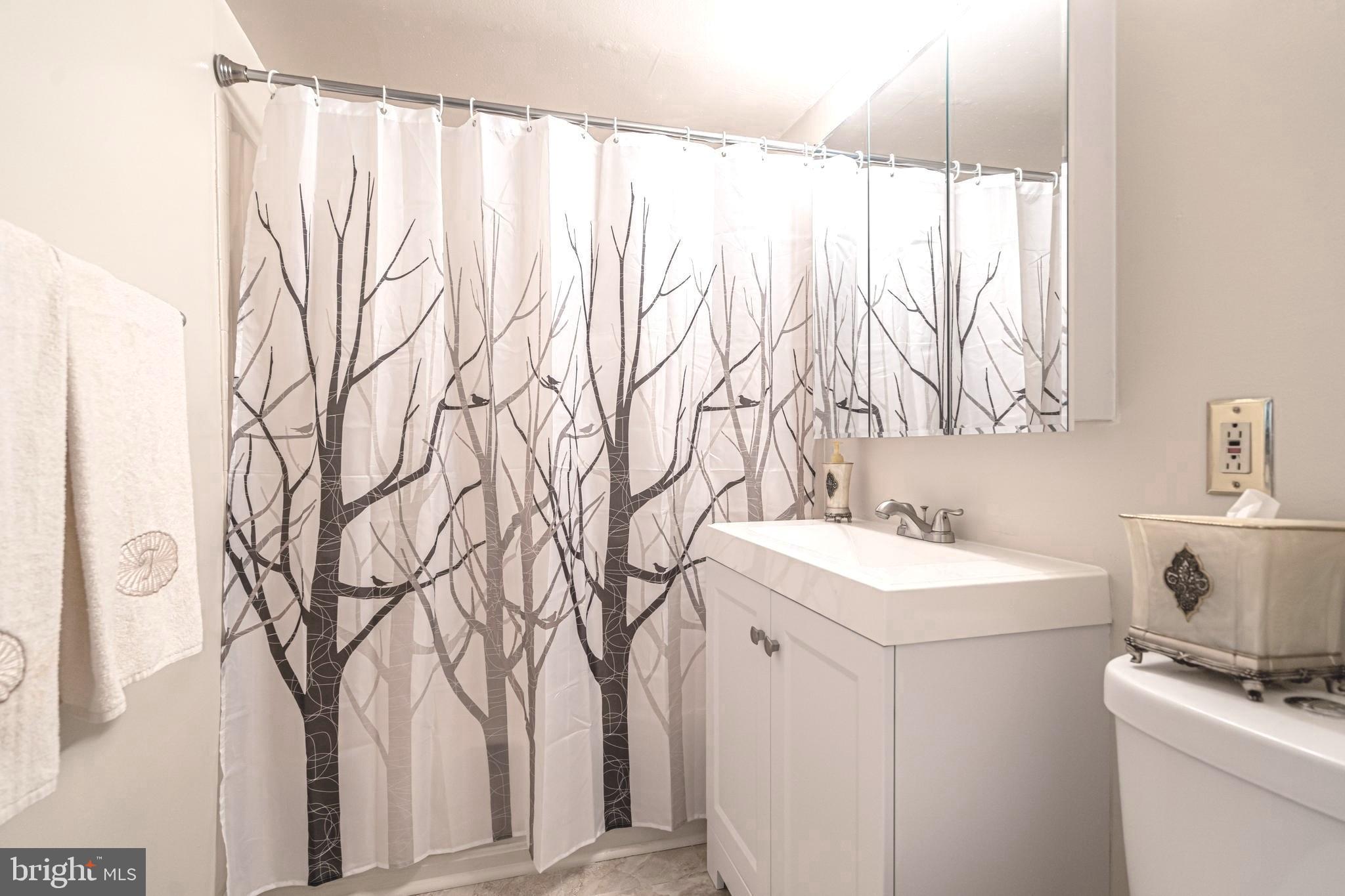 3356 Hewitt Avenue, Unit 201 Silver Spring, MD 20906 - Photo 13 of 25 Full Bath