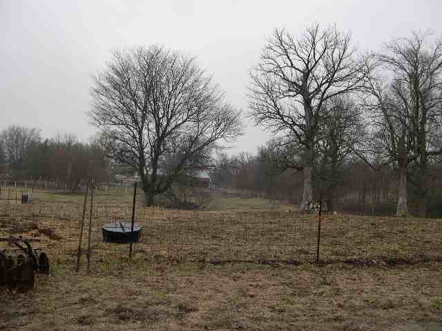 1350 Mt Zion Road Eureka, IL 61530 - Photo 4 of 9 Gallery Image 4