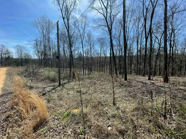 $22,900 | 2 Delta Queen Cove, Savannah, TN 38372