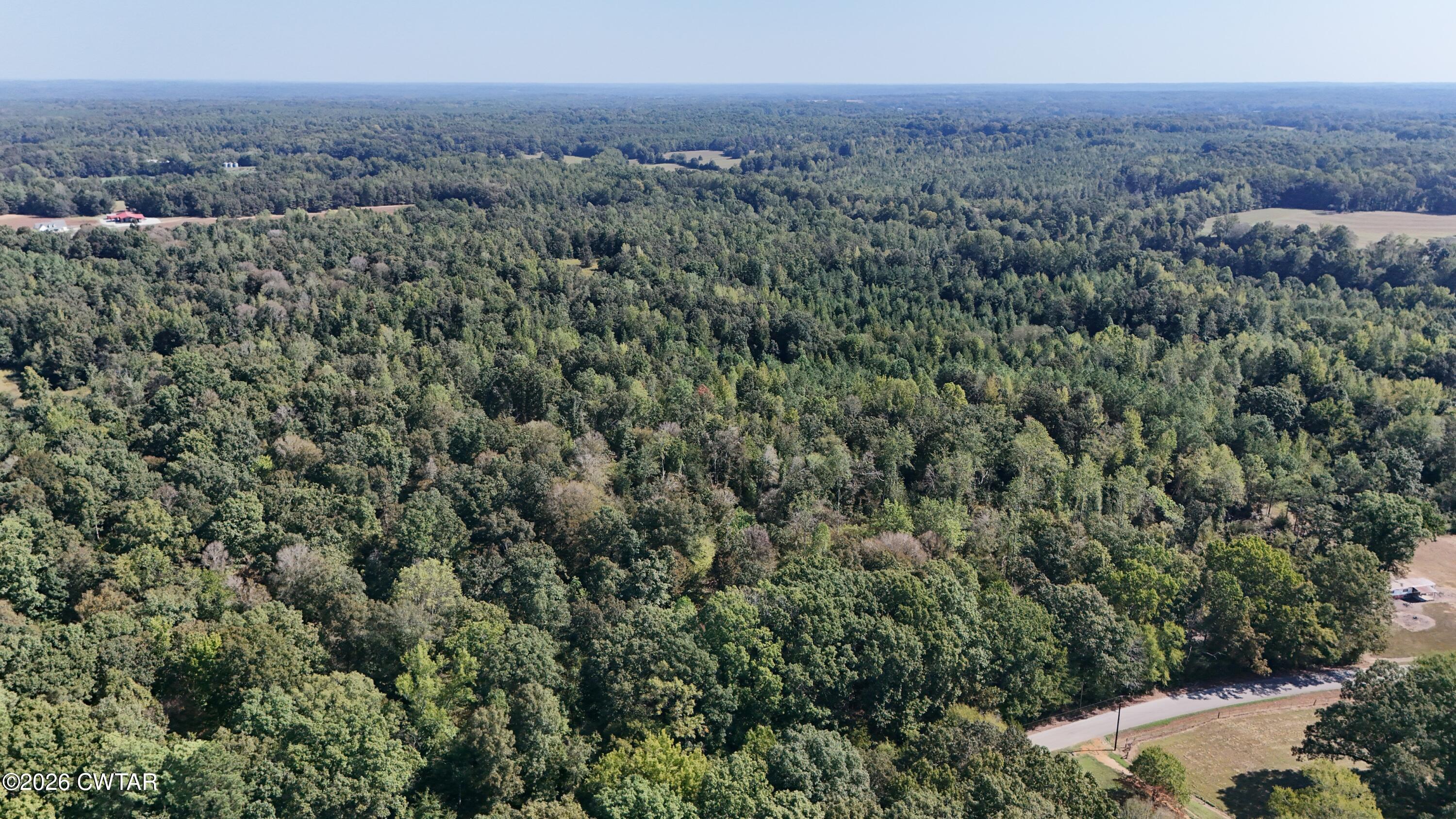 0 New Friendship Road Beech Bluff, TN 38313 - Photo 20 of 25 New Friendship (20)