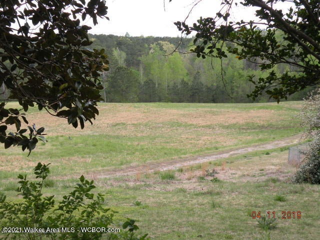 Shingle Branch Farm Road Jasper, AL 35504 - Photo 1 of 1 Gallery Image 1