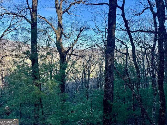 $119,000 | 0 Mule Branch Road, Helen, GA 30545