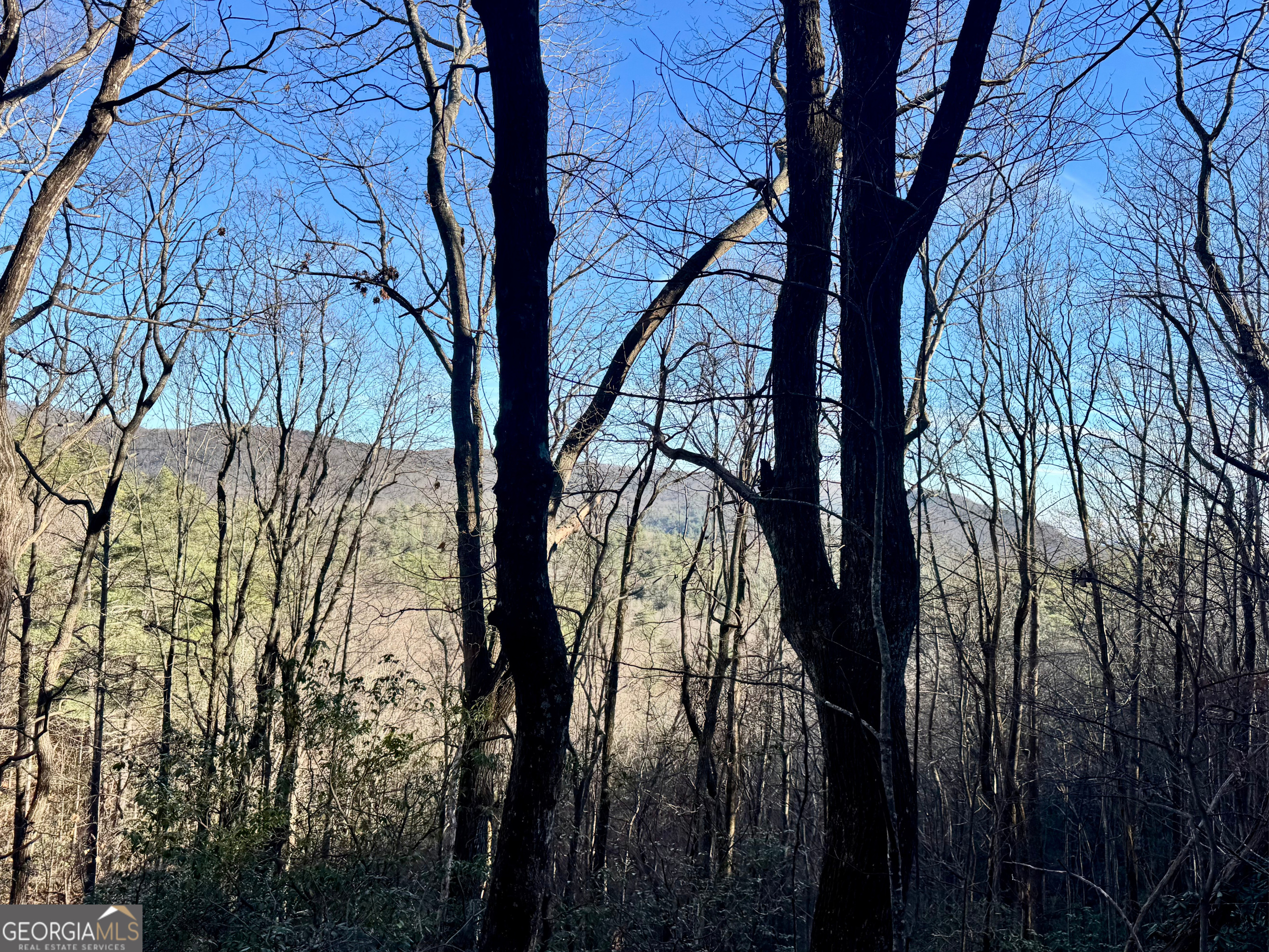 0 Mule Branch Road Helen, GA 30545 - Photo 11 of 17