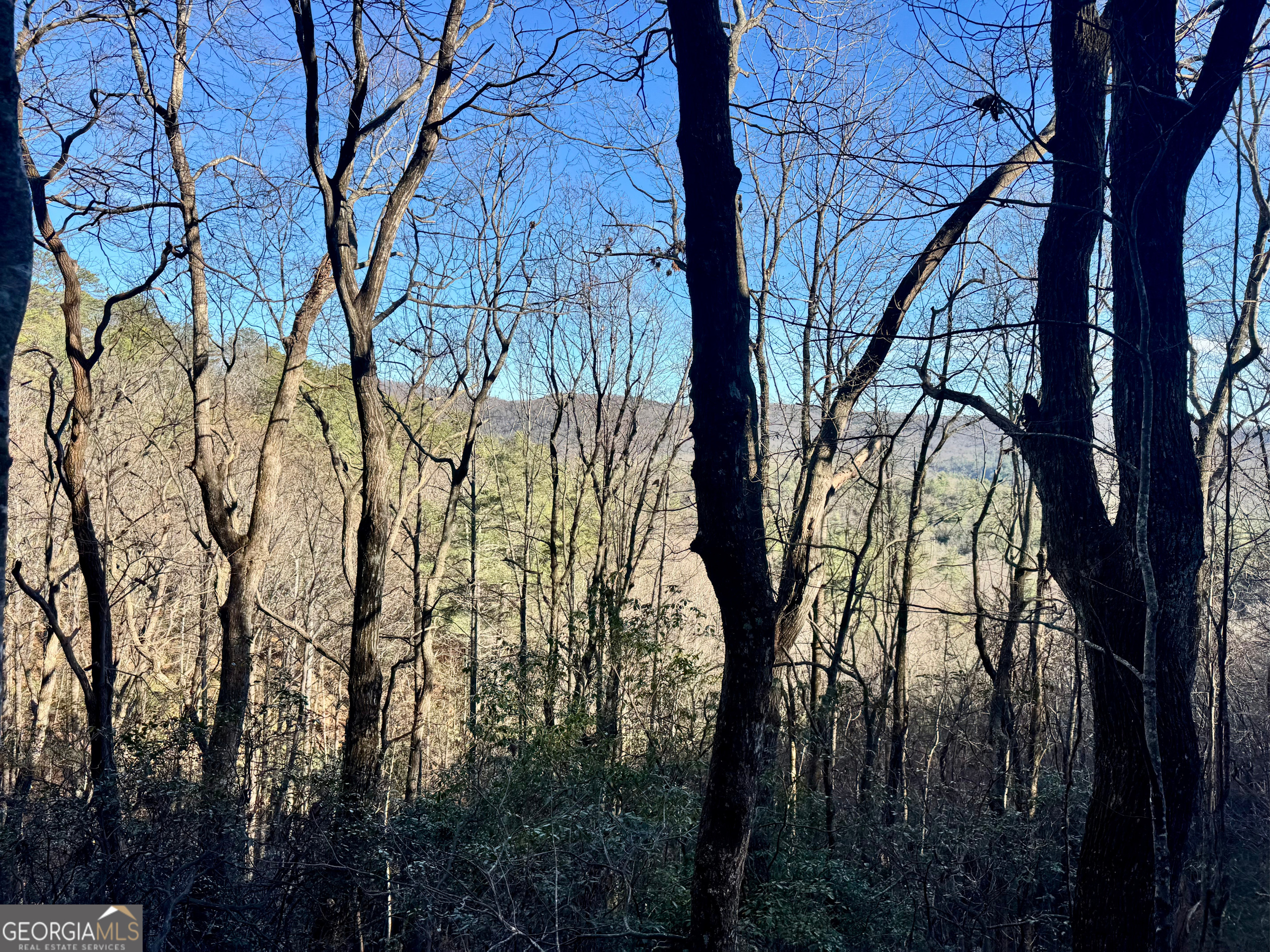 0 Mule Branch Road Helen, GA 30545 - Photo 12 of 17