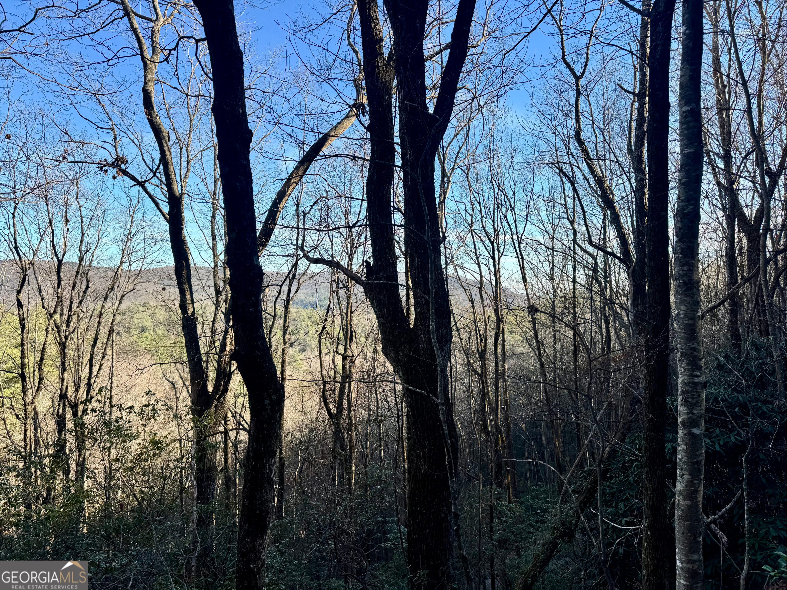 0 Mule Branch Road Helen, GA 30545 - Photo 13 of 17