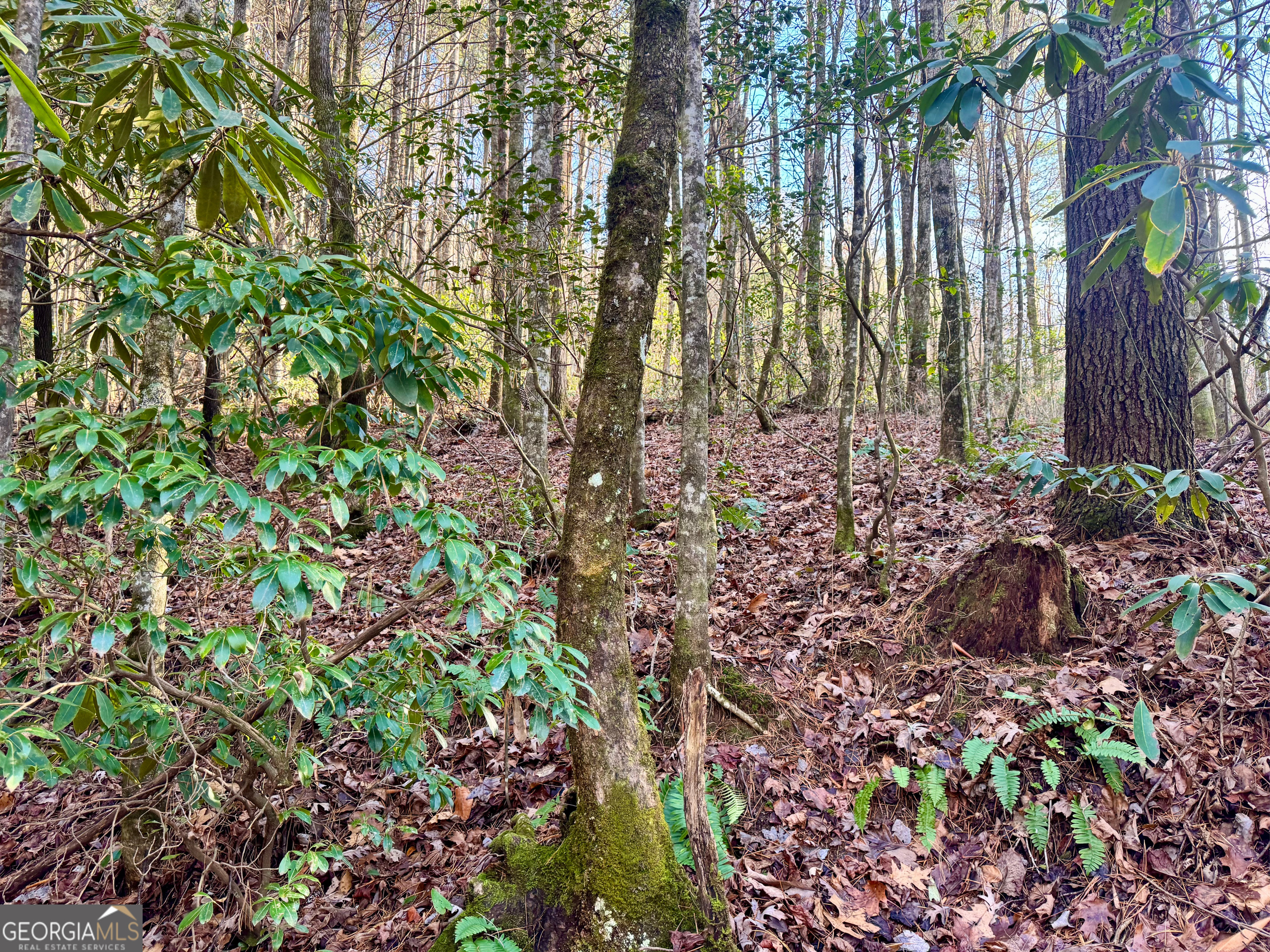 0 Mule Branch Road Helen, GA 30545 - Photo 15 of 17