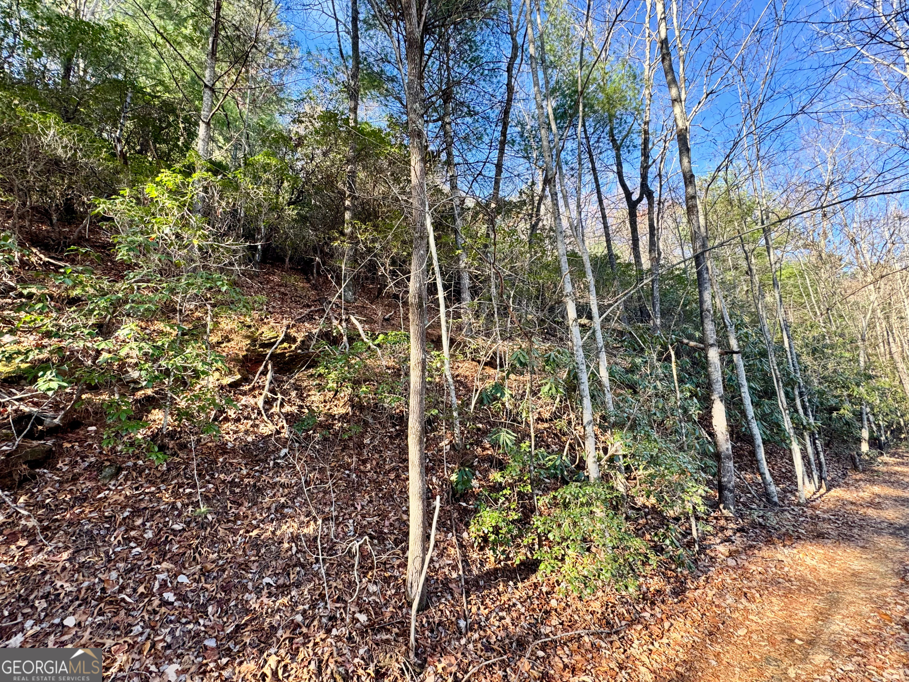 0 Mule Branch Road Helen, GA 30545 - Photo 6 of 17