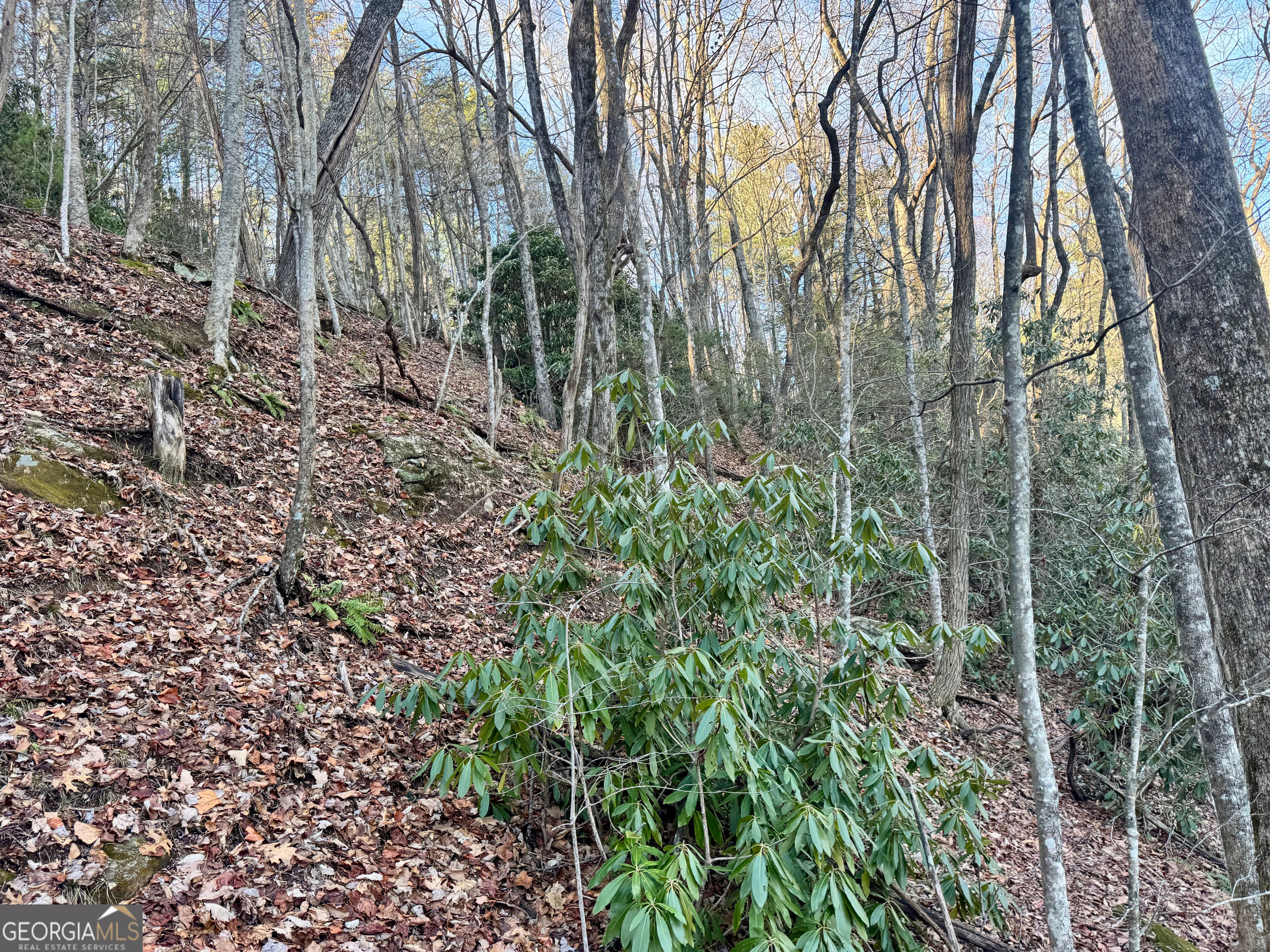 0 Mule Branch Road Helen, GA 30545 - Photo 7 of 17