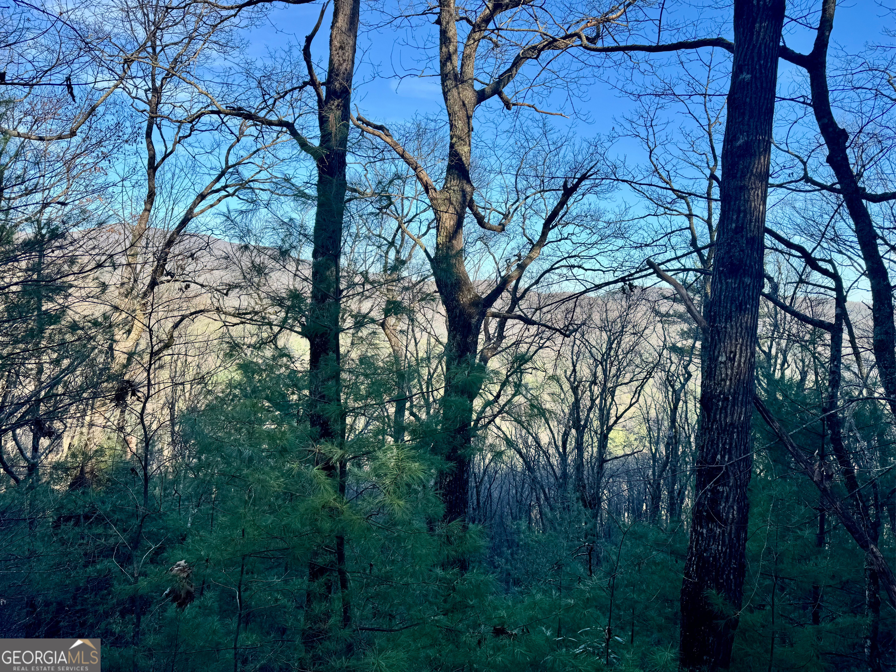 0 Mule Branch Road Helen, GA 30545 - Photo 8 of 17