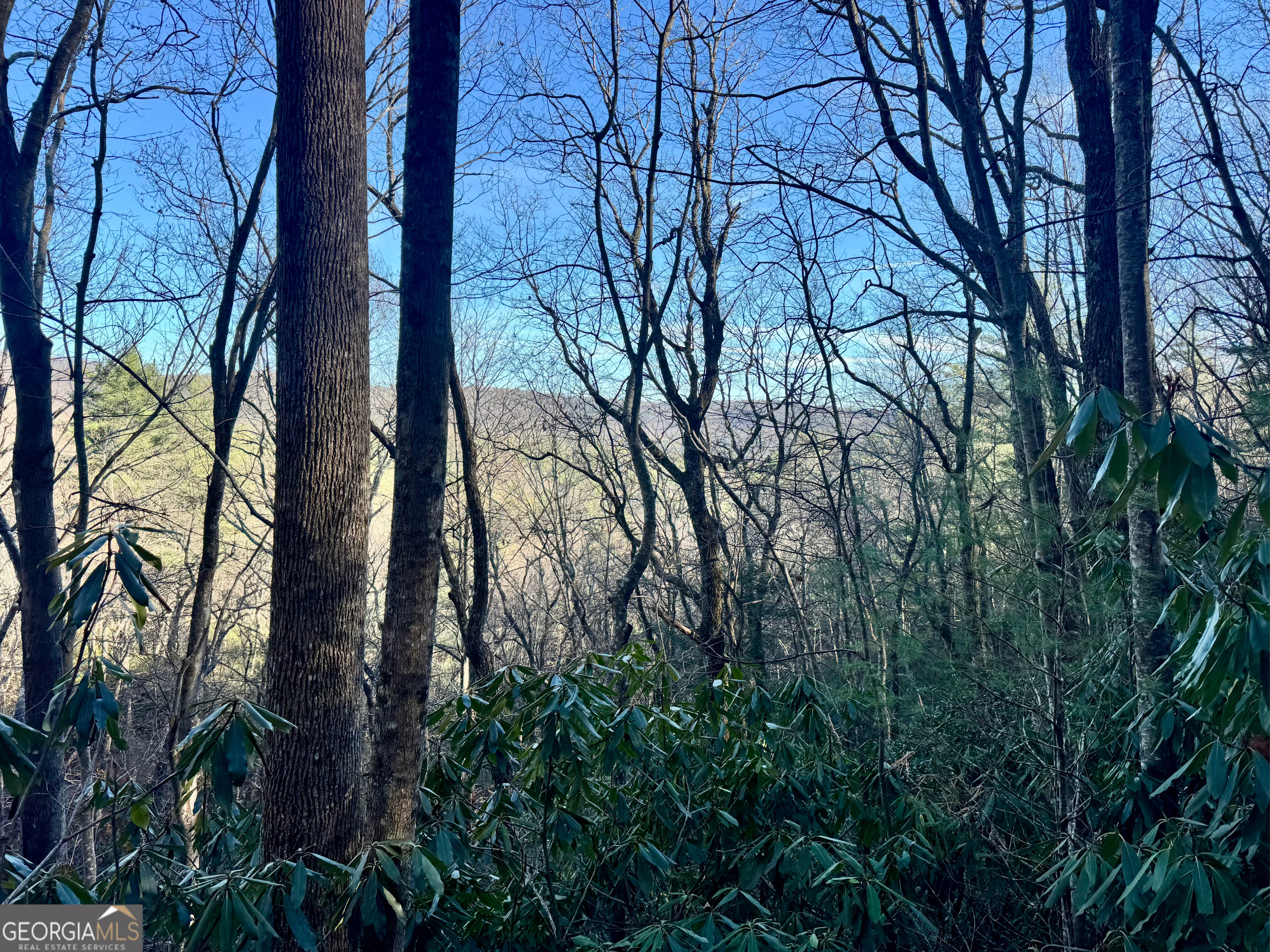 0 Mule Branch Road Helen, GA 30545 - Photo 9 of 17