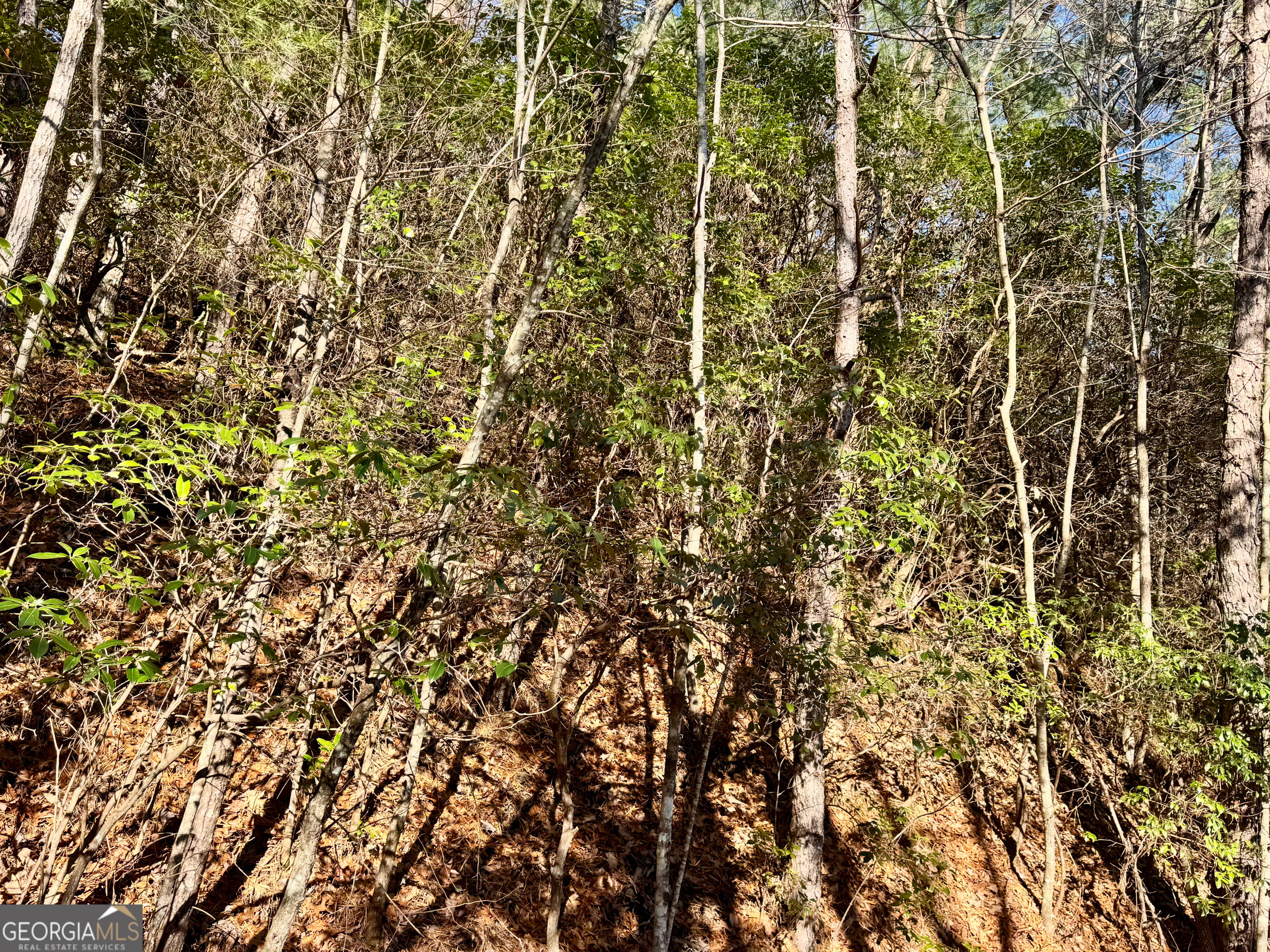 0 Mule Branch Road Helen, GA 30545 - Photo 10 of 17