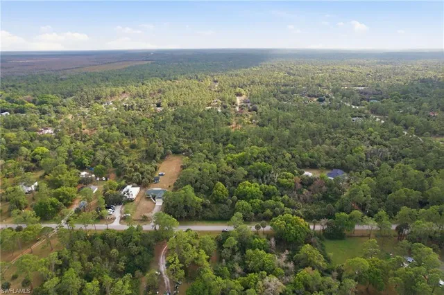 a view of a yard with a plants