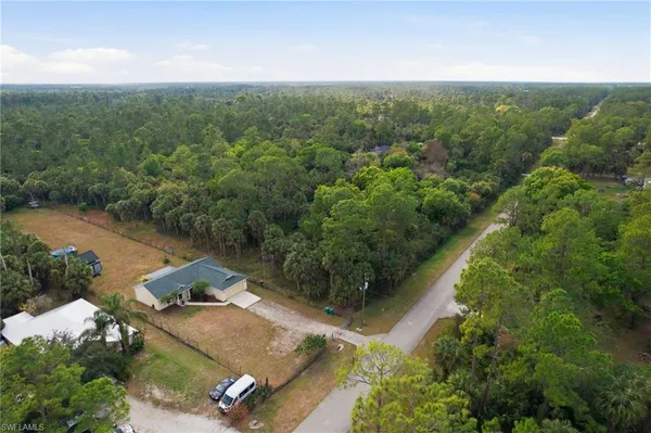 an aerial view of forest