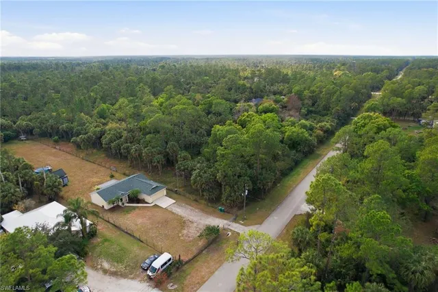 an aerial view of forest