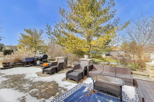 a view of a backyard with a large tree