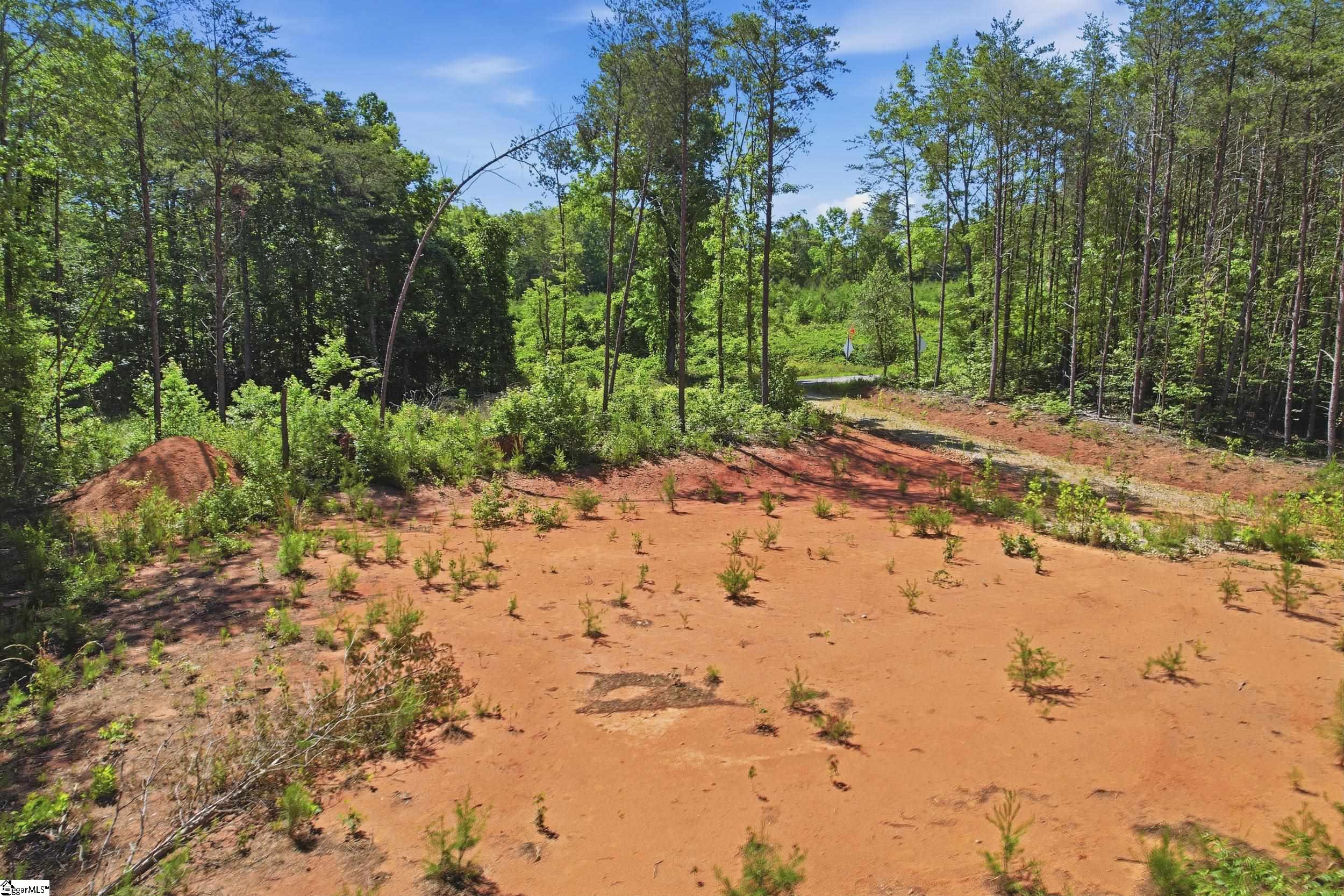 129 Tugaloo Road Landrum, SC 29356 - Photo 15 of 34
