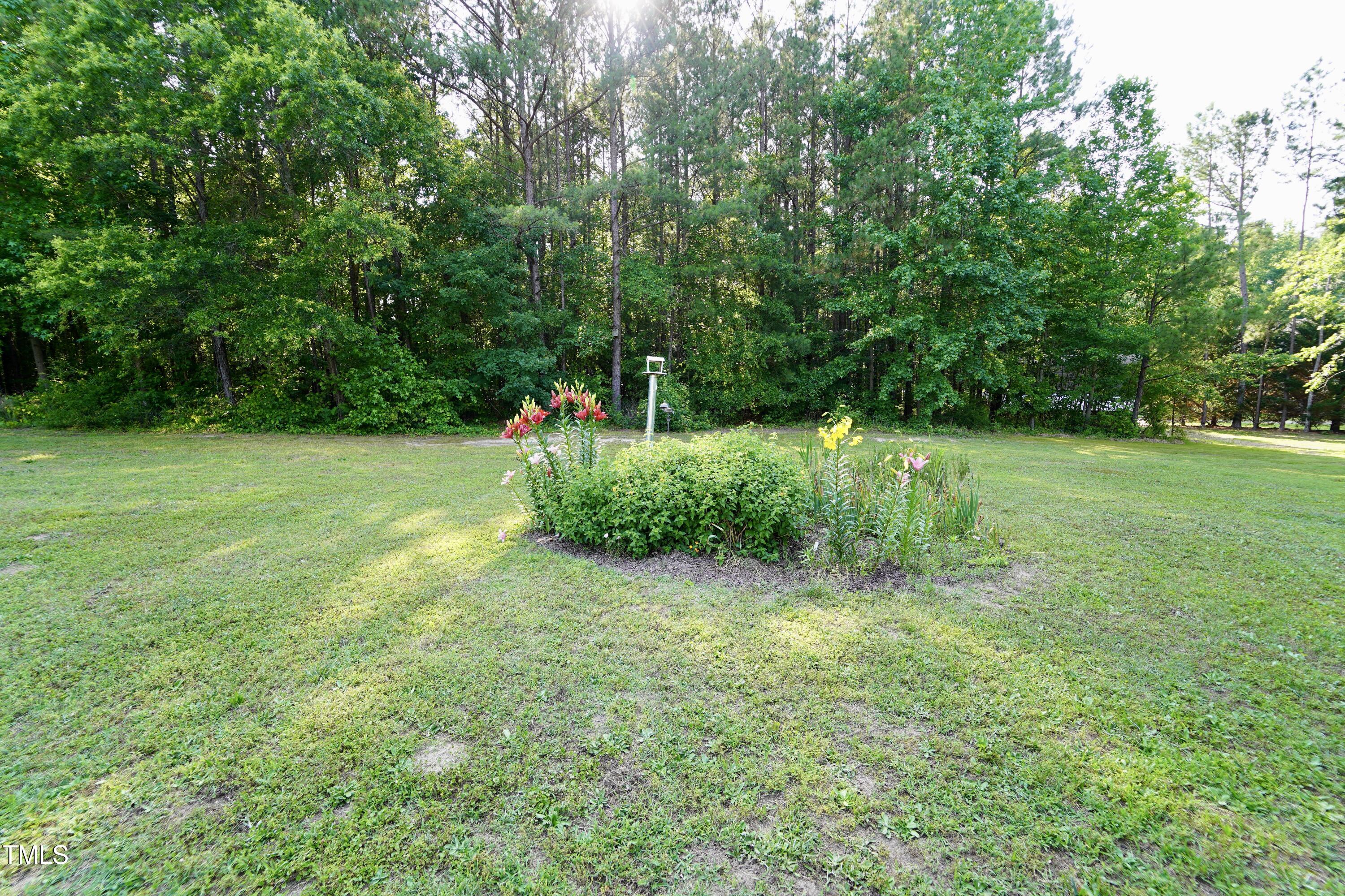 2816 Shepard School Road Zebulon, NC 27597 - Photo 5 of 53 DSC07548