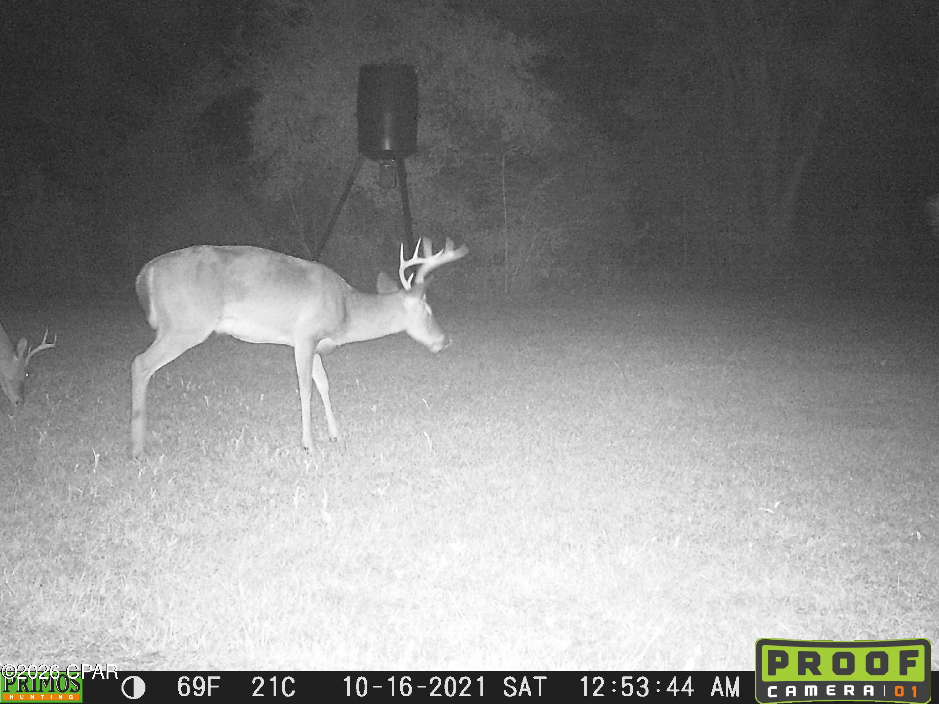 2802 Sylvania Road Vernon, FL 32462 - Photo 33 of 38