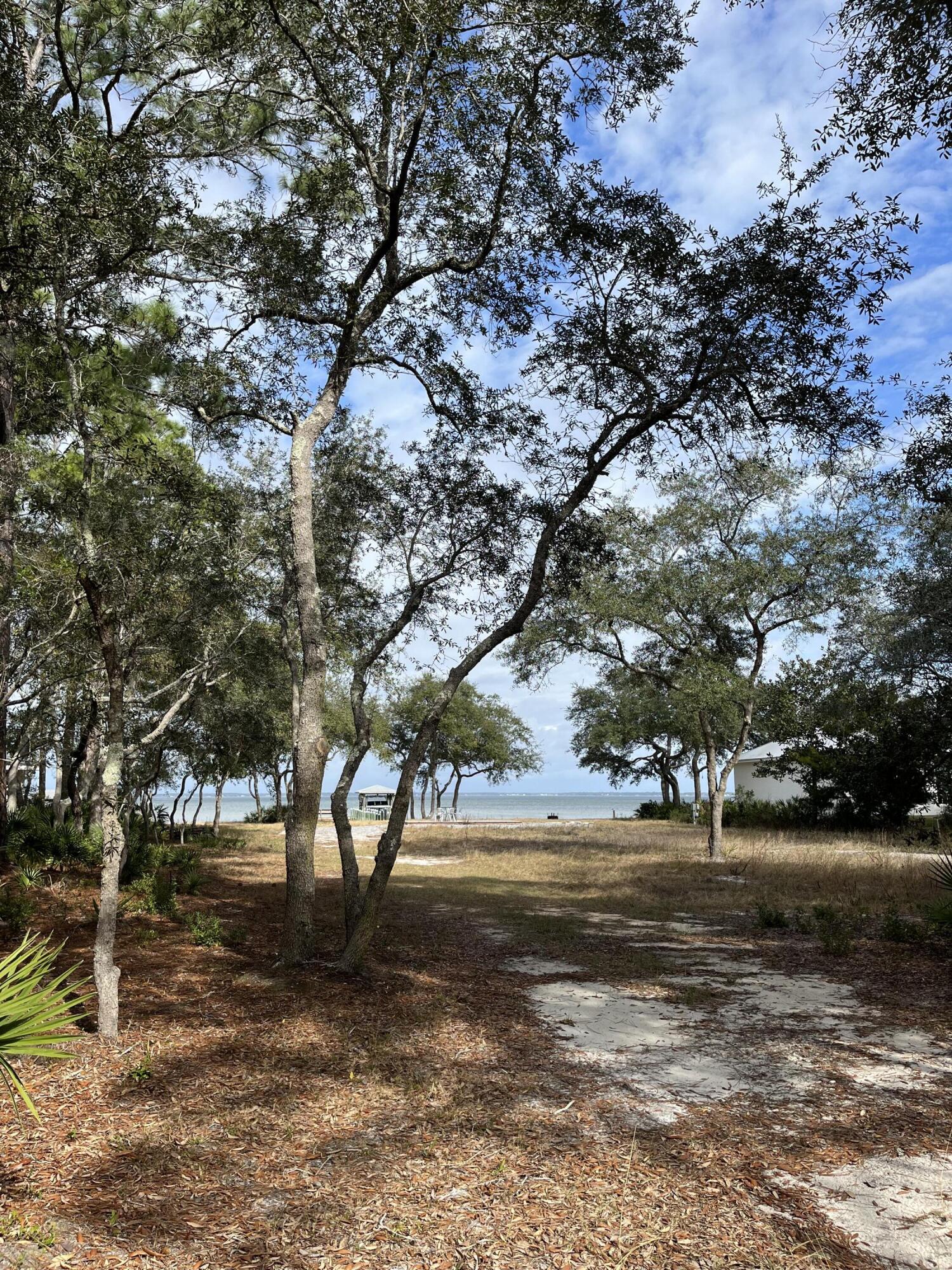 431 Pisces Drive Santa Rosa Beach, FL 32459 - Photo 4 of 19 a view of lake with trees