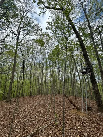 $35,900 | 0 Mockingbird Lane, Bassett, VA 24055