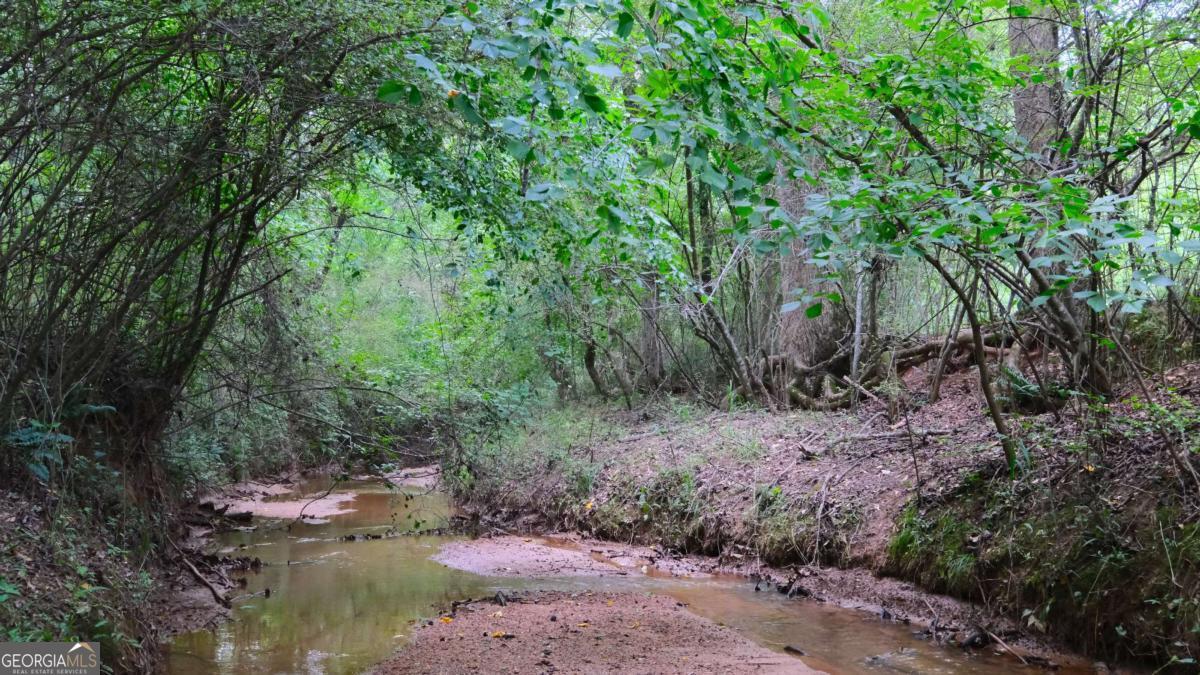 1455 Tappan Spur Road Watkinsville, GA 30677 - Photo 16 of 38