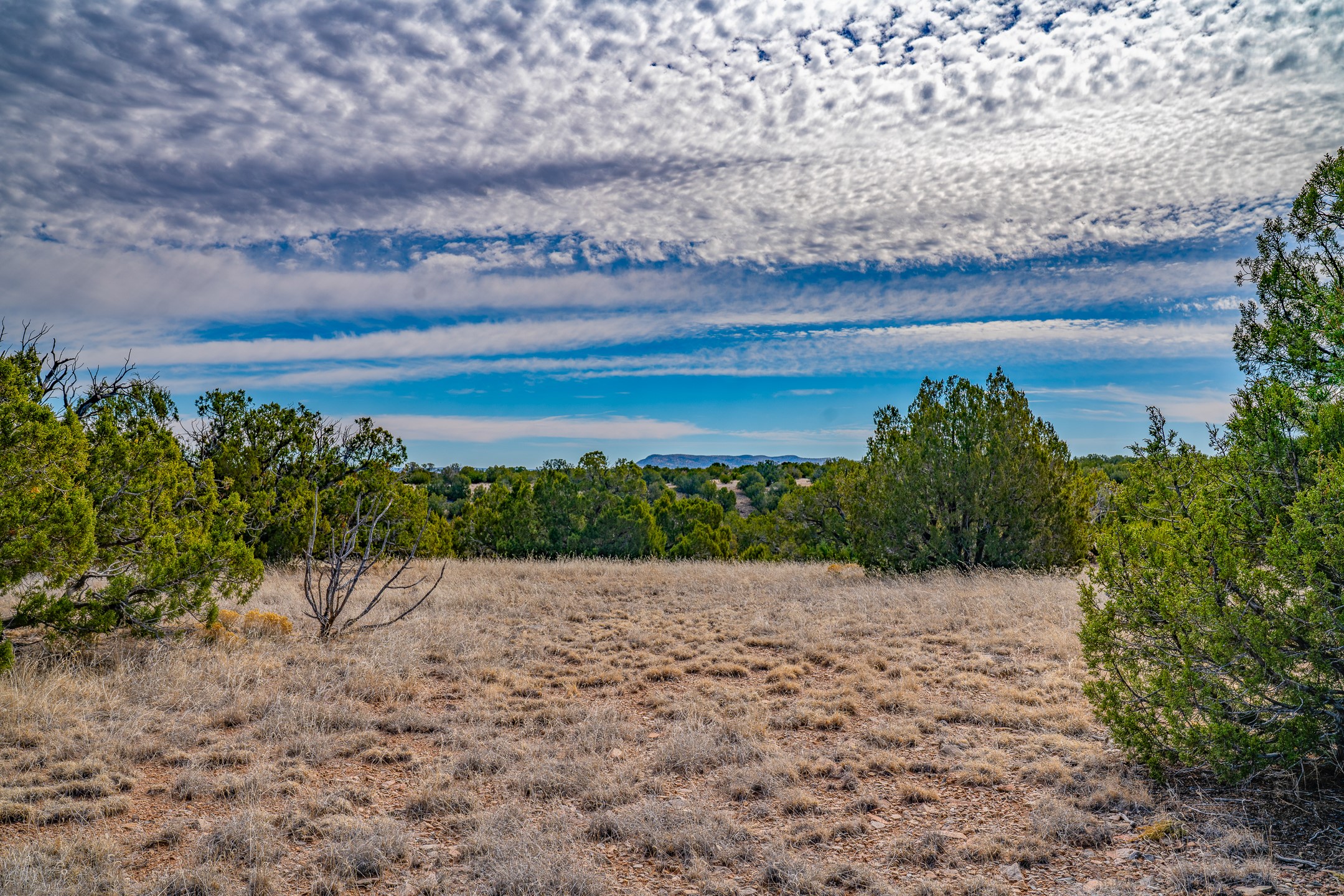 49-65 Blue Agave/grenfell Ranch Cerrillos, NM 87010 - Photo 12 of 36