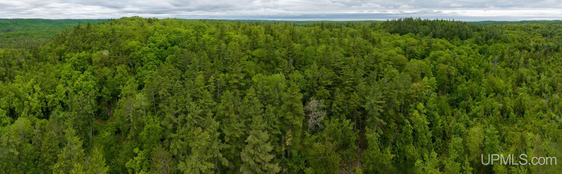 Tbd Tbd Co Road Negaunee, MI 49866 - Photo 6 of 47