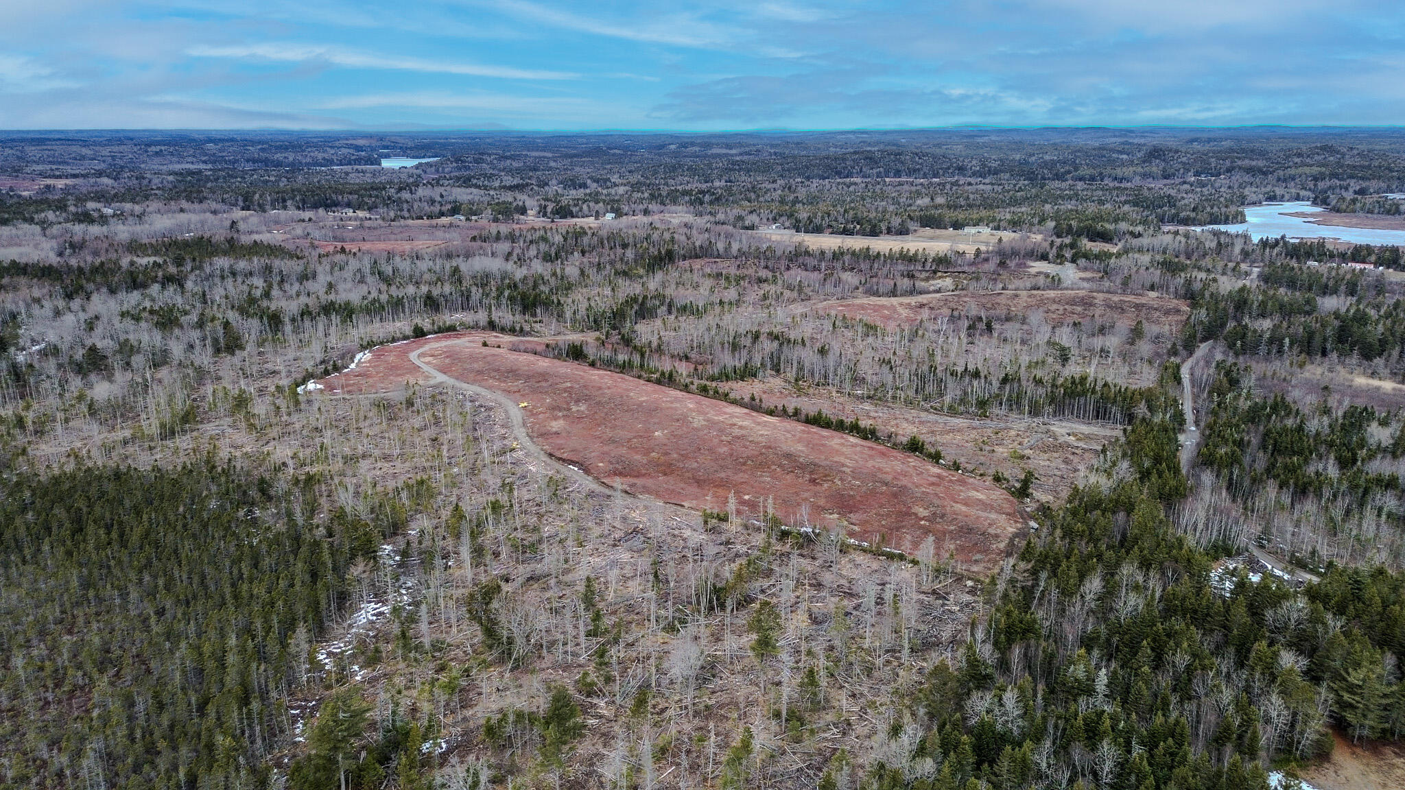 0 Lively Brook Road Whiting, ME 04691 - Photo 40 of 50