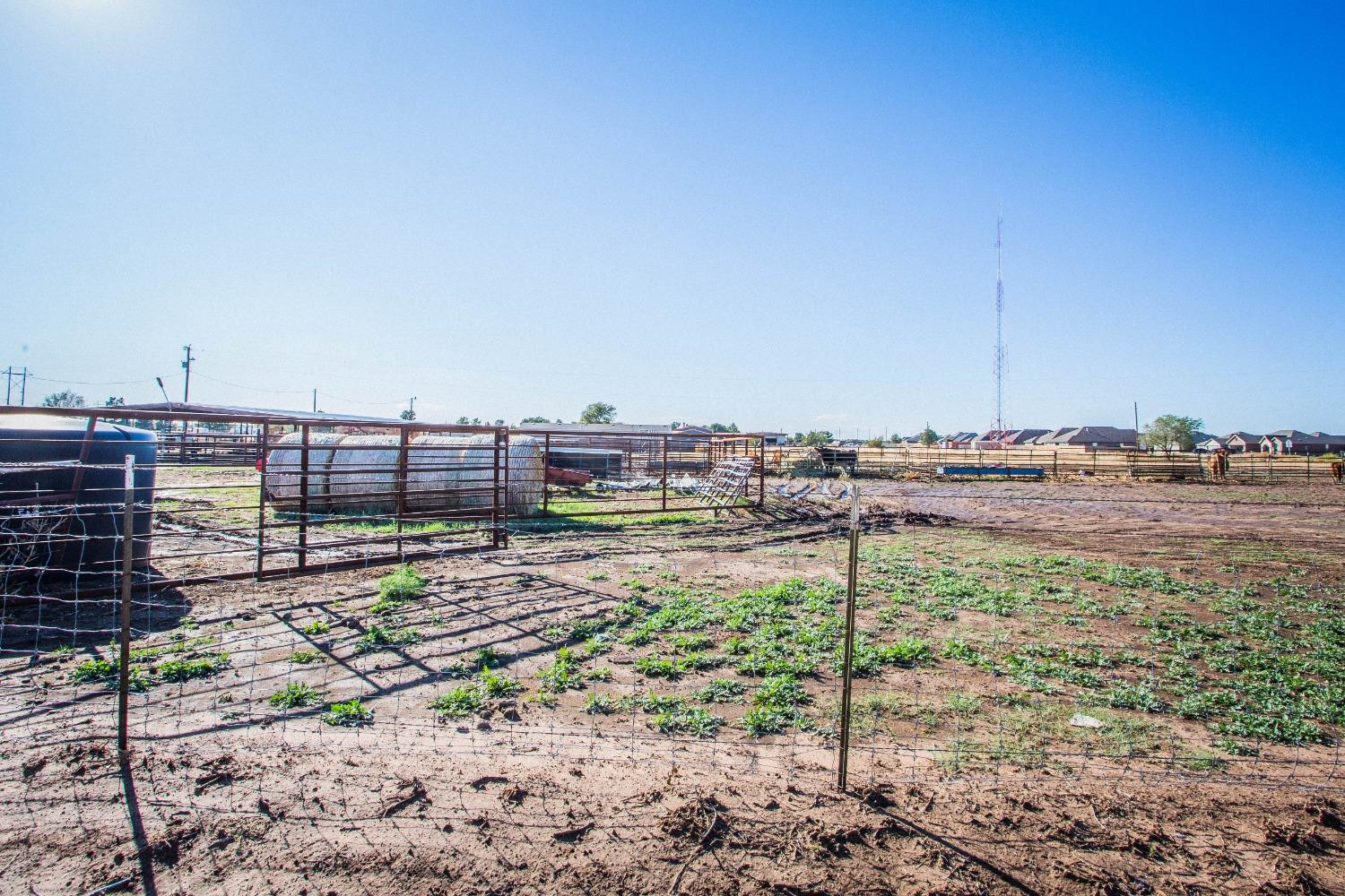 7516 66th Street Lubbock, TX 79407 - Photo 50 of 50 a view of a dry yard with wooden fence